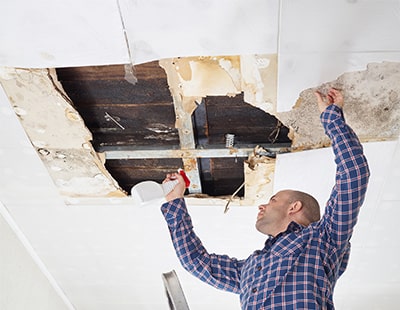 Property investment: how important is it to have a damp and timber report?