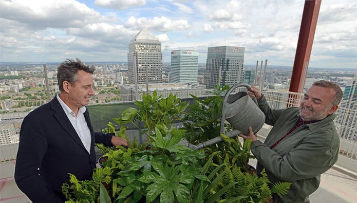 ‘Botanical development’ in Canary Wharf tops out