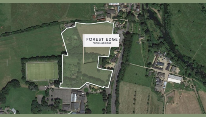 New homes given green light in New Forest